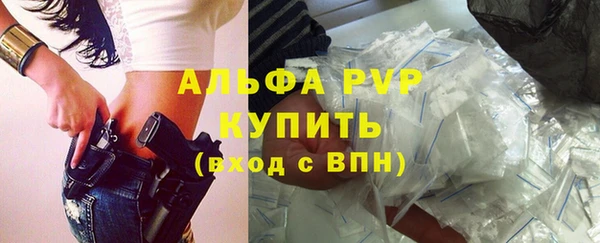 прущие грибы Ростов