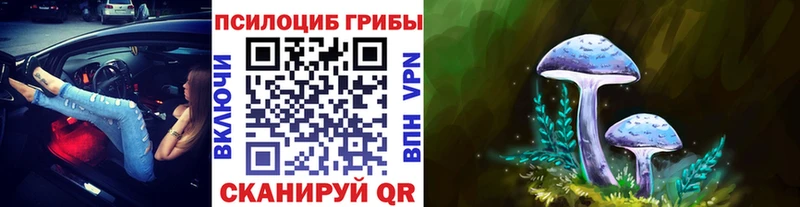 Псилоцибиновые грибы Cubensis  Купить где  Абакан 